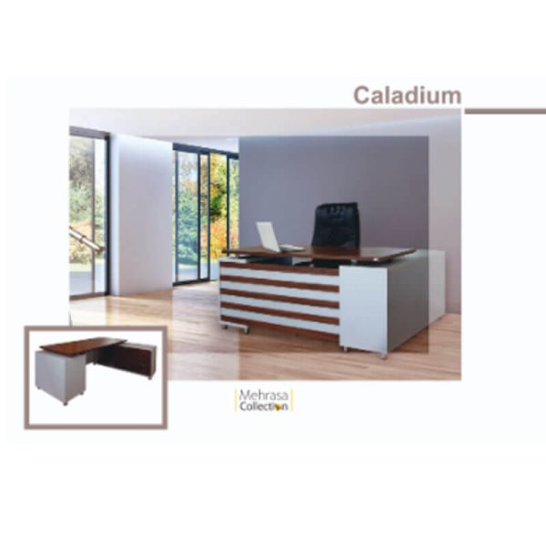 Caladium office desk 03 1
